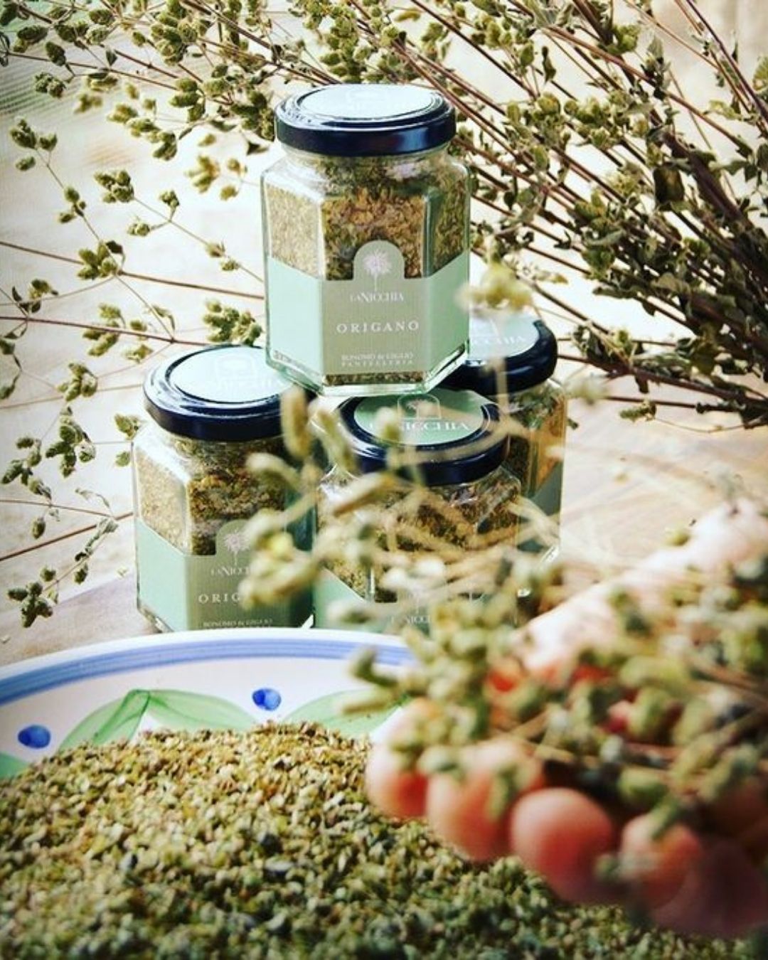 Origan de Pantelleria