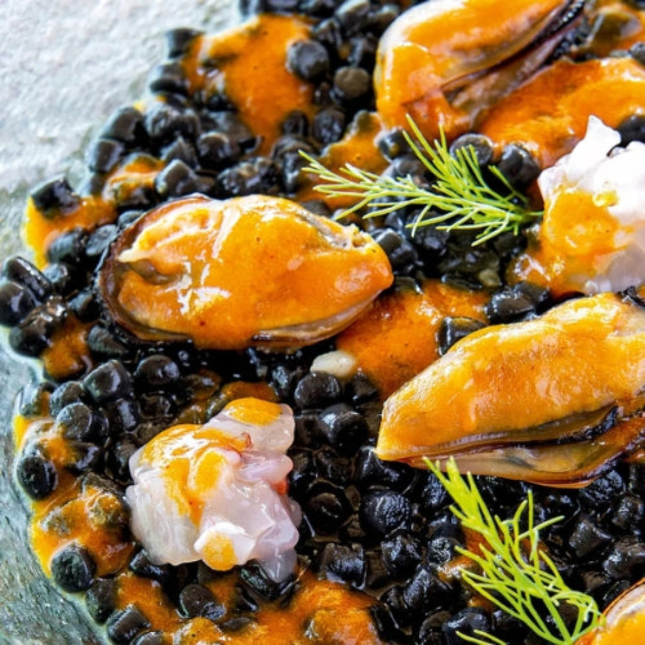 Fregula Sarda al Nero di Seppia
